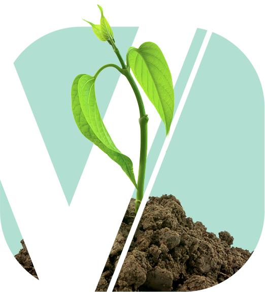 growing plant logo